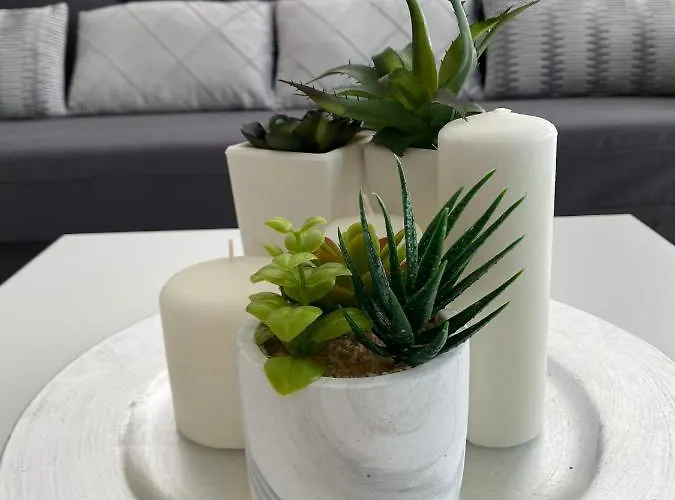 610 Con Terraza Martianez بويرتو ذي لا كروز