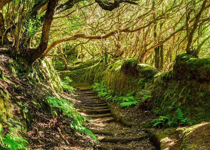 Lejlighed 610 Con Terraza Martianez *