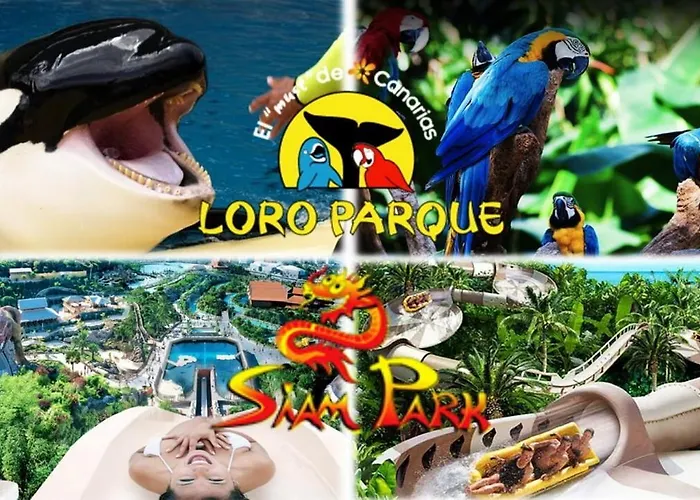 610 Con Terraza Martianez *