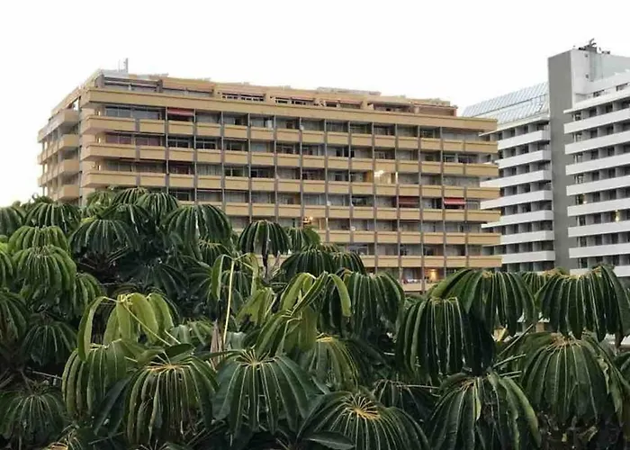 610 Con Terraza Martianez *