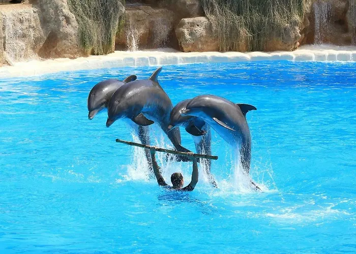 610 Con Terraza Martianez *